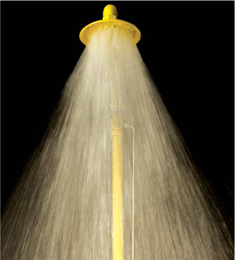 Acorn showerhead