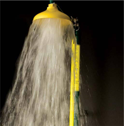 Speakman showerhead